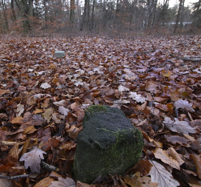 Datei:Monument 53 Messpunkt Waldbeerenberg 2016-11-27 Haltern-3102.jpg